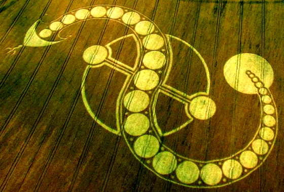 Inverted-S-Shivas-Trishul-Trident-PSI-Symbol-Dragon-Cosmic-Serpent-Crop-Circle-West-Woodhay-Down-Wiltshire-29th-July-2011