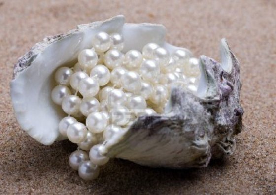 8147492-el-shell-de-mar-exoticas-con-un-mentiras-de-perlas-de-perlas-en-arena