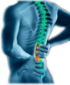Funciones de la columna vertebral